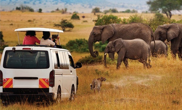 10 national parks travel tips for a memorable adventure – theafricalogistics.com