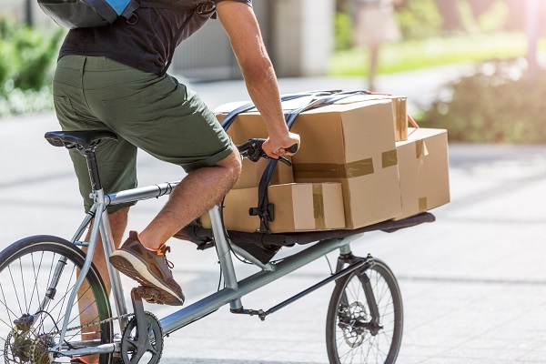 Optimizing the final step: How last-mile delivery software is transforming logistics