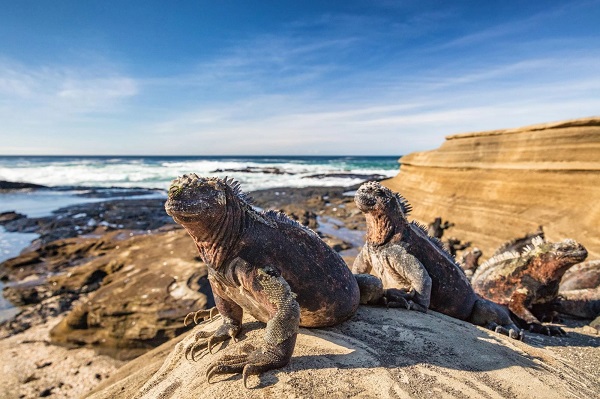 10 must-see wonders of the Galápagos Islands