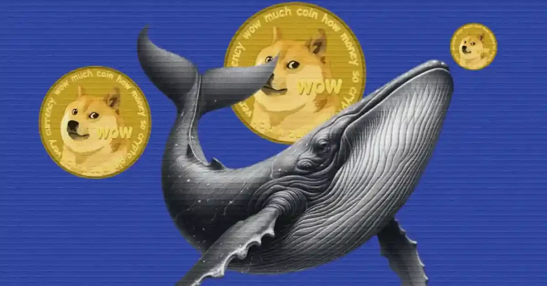 How Dogecoin Whales Are Shaping the Cryptocurrency's Recent Surge