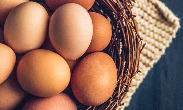 Egg Prices Skyrocket Amid Bird Flu Outbreak, Leaving Consumers Scrambling