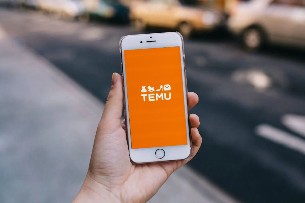 temu warehouse south africa